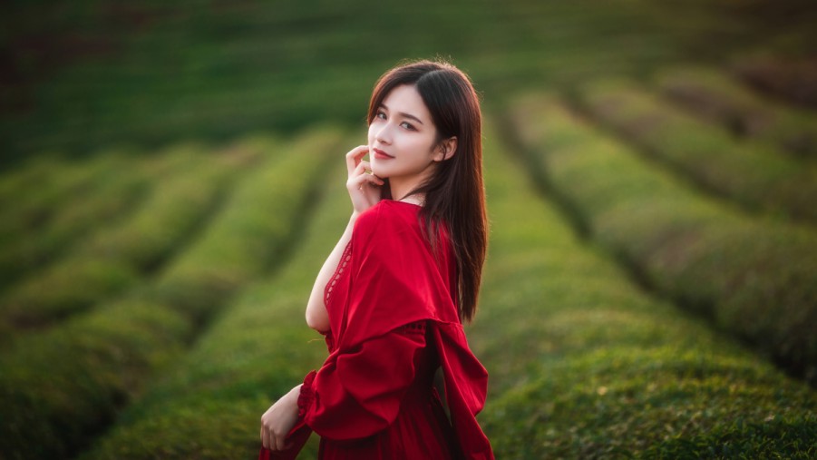 SEO运营思路：揭秘成功背后的黑科技