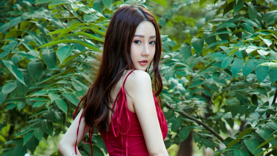 提升你的SEO技能：高效的SEO技术培训教程视频