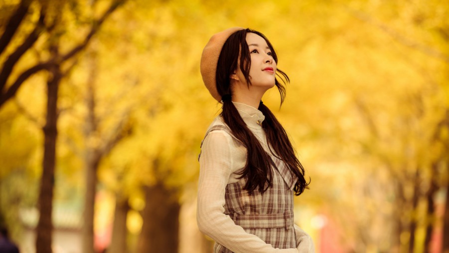 郑州SEO服务：助您的企业在互联网时代腾飞