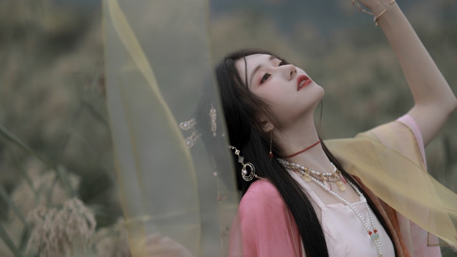 网站SEO综合信息查询：助您提升网站排名的全面指南